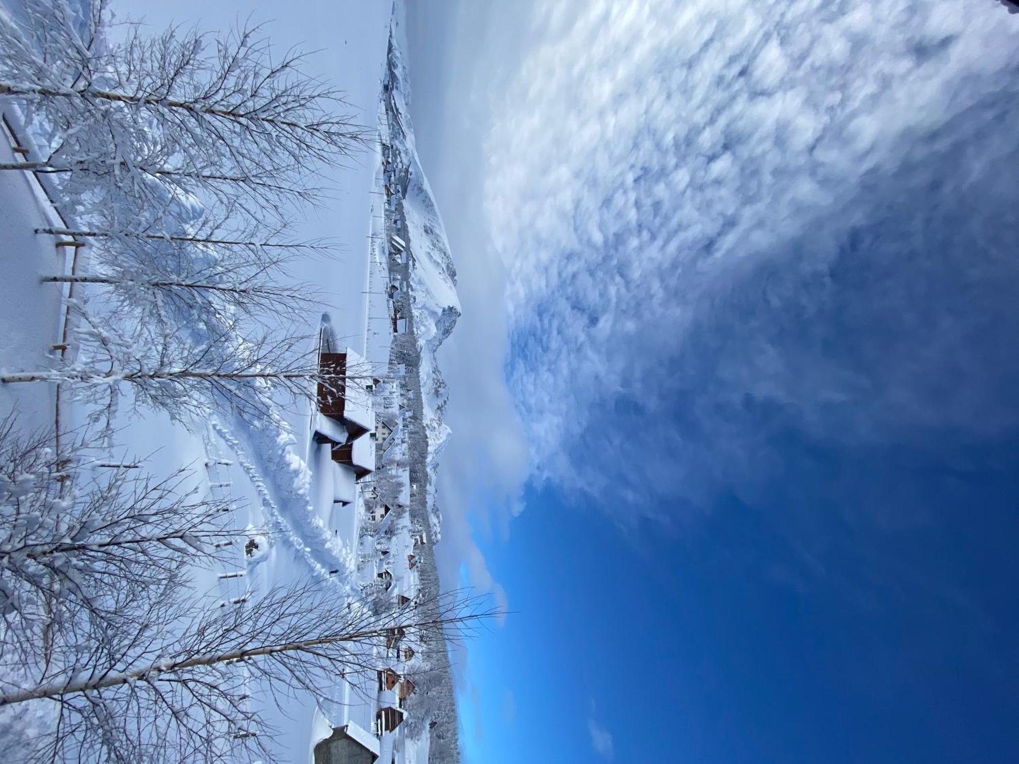 Guest House Sky Blue Žabljak Exteriör bild